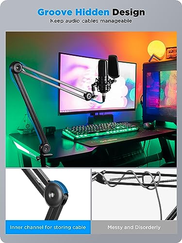BOYA Microphone Boom Arm,Large Mic Arm (46 inch) with Desk Mount & 5/8"to 3/8"Screw Adapter Heavy-Duty Microphone Arm Stand Adjustable &Foldable for Streaming/Podcast/Gaming(BY-BA20)