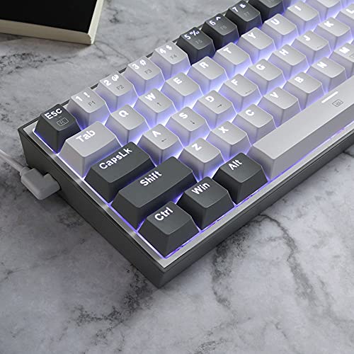 Redragon K617 Fizz 60% Wired RGB Gaming Keyboard, 61 Keys Hot-Swap Compact Mechanical Keyboard w/White and Grey Color Keycaps, Linear Red Switch, Pro Driver/Software Supported - color: Grey