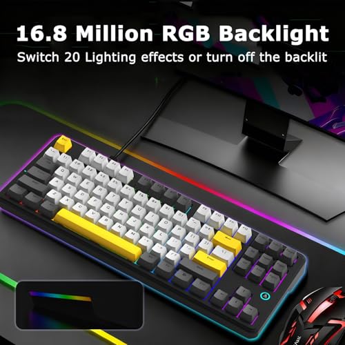 AK870 87Keys Hot-Swappable Mechanical Keyboard, Gasket Mount Wired Gaming Keyboard with Linear Flying Fish Switches, 80% Compact, PBT Keycaps, RGB Backlit for PC Gamers & Typists (Starry Night Grey) - color: AK870 Flying Fish Switch Starry Night Grey, siz