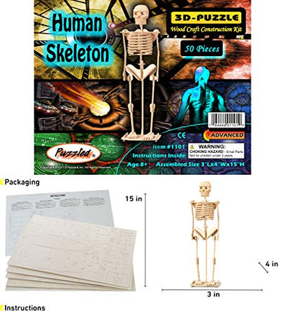 Puzzled 3D Puzzle Human Skeleton Wood Craft Construction Model Kit, Fun & Educational DIY Wooden Toy Assemble Model Unfinished Crafting Hobby Puzzle to Build & Paint for Decoration 50 Pieces Pack