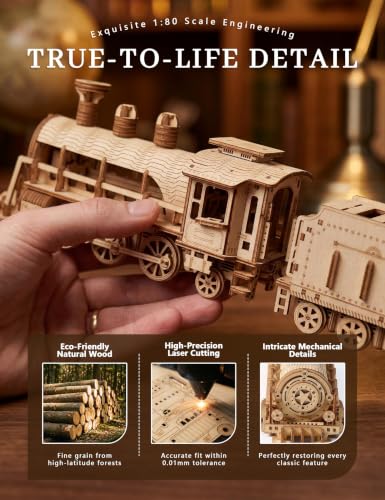 BOOZUU 3D Wooden Steam Train Puzzle for Adults, Build and Paint Wooden Train Model Kit, 282 Pcs DIY Train Craft for Teen Age 14+