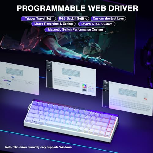 AULA Hero 68 HE 60% Gaming Keyboard Wired, Hall Effect Magnetic Switch Keyboard with Adjustable Actuation, Fast Trigger Mode, 8K Hz Polling Rate, 0.125ms Latency,Side Printed PBT Keycaps, RGB Backlit - color: Purple