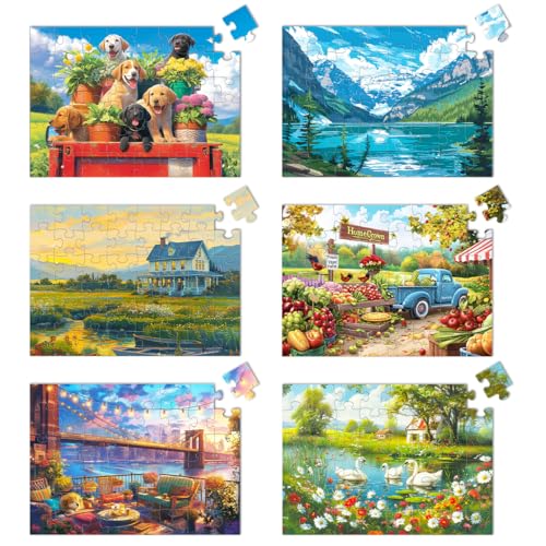 Yigney 6 Pack 48 Large Piece Jigsaw for Seniors Alzheimer Products | for Elderly Dementia Activities Memory for Patients in Nursing Home with Storage Box - color: 48 Large Pieces - B
