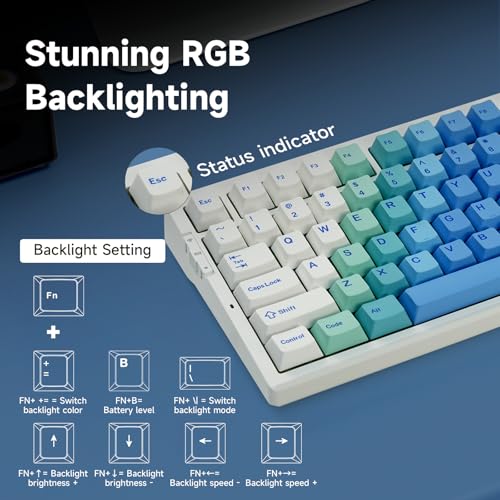 MCHOSE G75 PRO 75% Wireless Mechanical Keyboard, TKL Keyboards Tri-Mode BT5.0/2.4GHz/USB-C, Hot Swap Custom Creamy Keyboards Linear Switch, Double Shot PBT Keycaps RGB LED Backlit, White&Blue - color: Blue