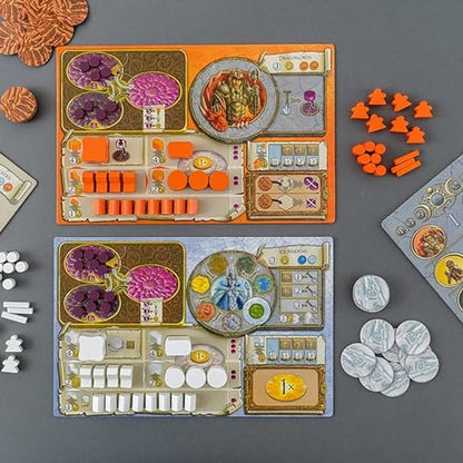 Capstone Games Terra Mystica Fire & Ice Expansion, Strategy Board Game Expansion Pack, Game Board for 2–5 Players, 100–120 Min Playtime, Ages 14+, Compatible with Terra Mystica Base Game - style: Fire & Ice