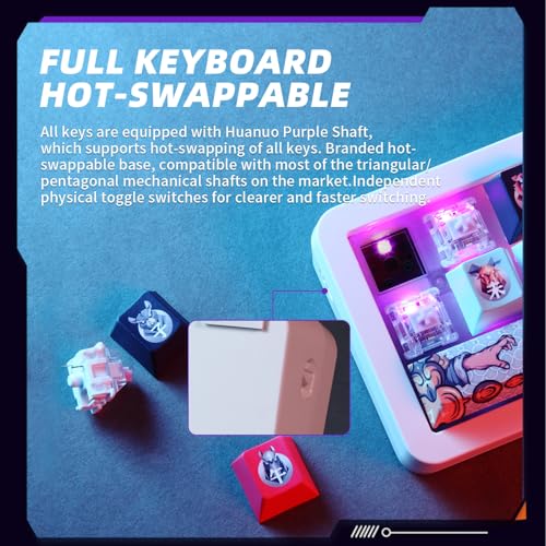 Darmoshark SK16 Macro Mechanical Numeric Keyboards 2.4G/USB-C/Bluetooth 16 Keys Mini Numpad Portable Keypad RGB Backlight Gaming Keyboards Extended Layout for Cashier,Fully Programmable Keys - size: SK16