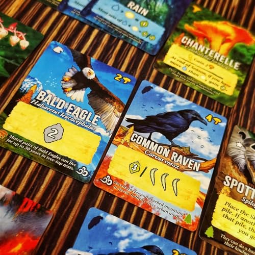 Weird City Games Canopy Evergreen, Strategy Board Game | For 1 to 4 Players and Ages 10+