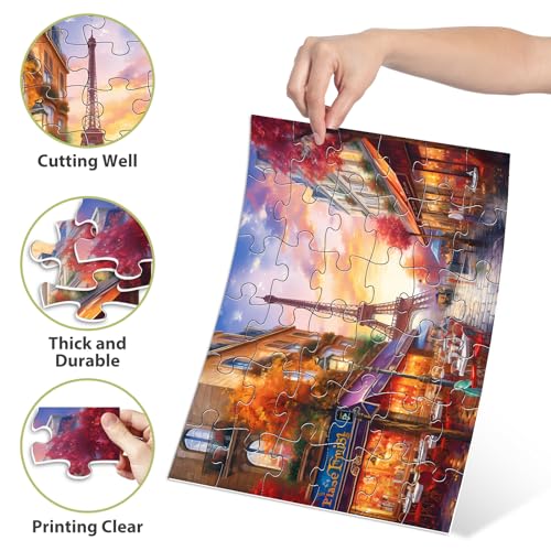 Biarek 6 Pack 36 Large Piece Puzzles for Seniors Puzzle Dementia Alzheimer's Products Activities for Elderly Adults Easy Jigsaw Puzzle Alzheimer's Gift for Patients in Nursing Home with 6 Storage Bags - style: 36 Large Pieces