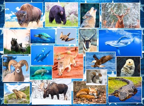 Wildlife of Our National Parks Puzzle 500 Piece - Animal Jigsaw | USA national parks animals from Acadia, Yellowstone, Zion, Arches - great gift - style: Wildlife of National Parks 500pc