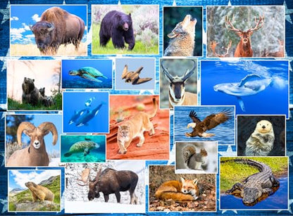 Wildlife of Our National Parks Puzzle 500 Piece - Animal Jigsaw | USA national parks animals from Acadia, Yellowstone, Zion, Arches - great gift - style: Wildlife of National Parks 500pc