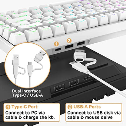 RK ROYAL KLUDGE RK84 Wired RGB 75% Hot Swappable Mechanical Keyboard, 84 Keys Tenkeyless TKL Gaming Keyboard w/Programmable Software, RK Red Switch - color: White, size: Hot Swappable Red Switch