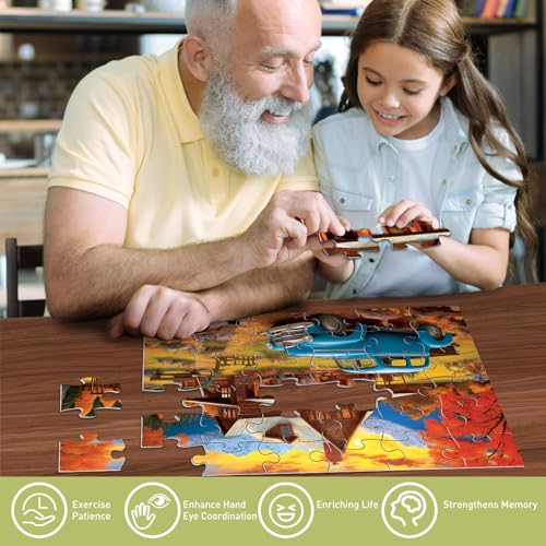 Biarek 6 Pack 36 Large Piece Puzzles for Seniors Puzzle Dementia Alzheimer's Products Activities for Elderly Adults Easy Jigsaw Puzzle Alzheimer's Gift for Patients in Nursing Home with 6 Storage Bags - style: 36 Large Pieces