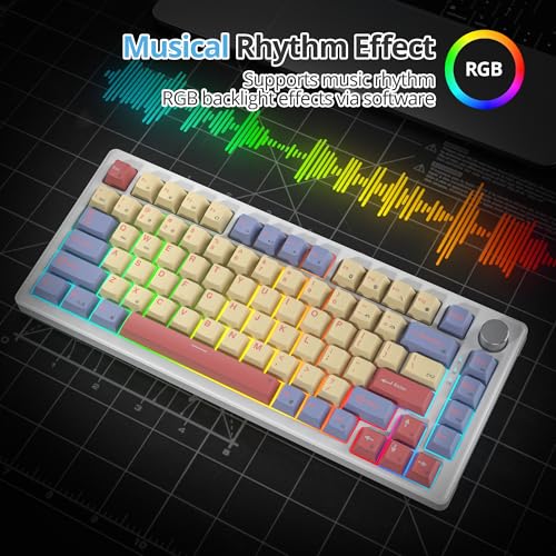 75% Mechanical Keyboard Gasket with Knob, Custom Wired Creamy Gaming Keyboard TKL 75 Percent Hot Swappable RGB Backlit, Pre-lubed Switch for Win/MAC PC Laptop（Cotton Candy/White Switch） - color: Cotton Candy/White Switch