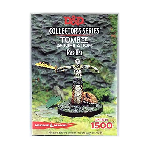 Gale Force Nine Dungeons & Dragons- Tomb of Annihilation Ras Nsi (1 fig), Multicoloured - style: Ras Nsi
