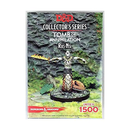 Gale Force Nine Dungeons & Dragons- Tomb of Annihilation Ras Nsi (1 fig), Multicoloured - style: Ras Nsi