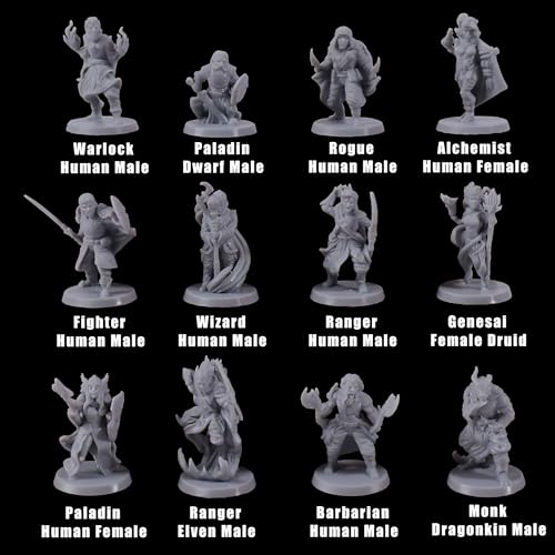 12 Pcs Unpainted Fantasy RPG Miniatures Set, 28mm Scale Resin Miniature for Wargaming and Board Games, 1-Inch Base, 12 Different Classes