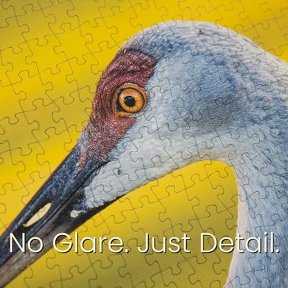 The Sandhill Crane, Premium 1000 Piece Jigsaw Puzzle for Adults, Glare-Free, Soft-Touch Puzzles, Made in USA, Puzzle Lovers Gift Ideas, 26.6" x 19.25" - color: The Sandhill Crane