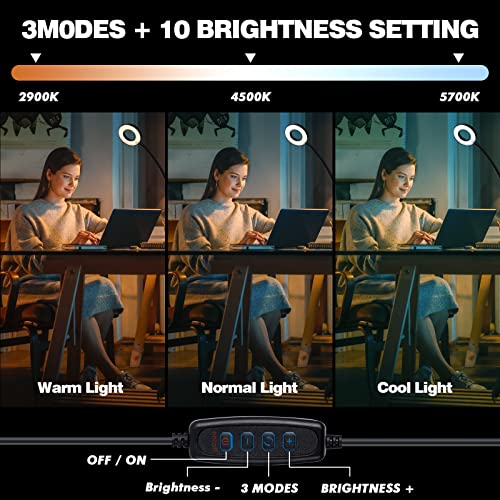 LuxLumin LED Desk Lamp with Clamp for Video Conference Lighting, USB Light for Laptop Zoom Meeting, Clip on LED Ring Light for Computer Webcam Lighting Dimmable Black