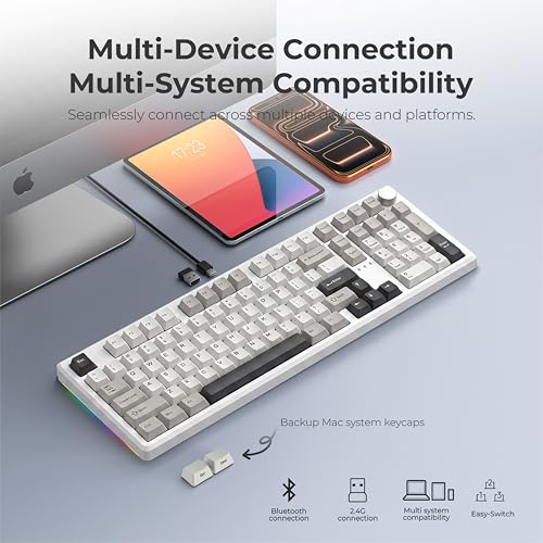 LUMI101 Wireless Mechanical Keyboard,Full-size keyboard with numeric keypad，Tri-Mode BT5.0/2.4GHz/USB-C Hot Swappable Custom Keyboard,RGB Backlit Computer Gaming Keyboards(White Grey Mute Switch) - color: White Mute Switch