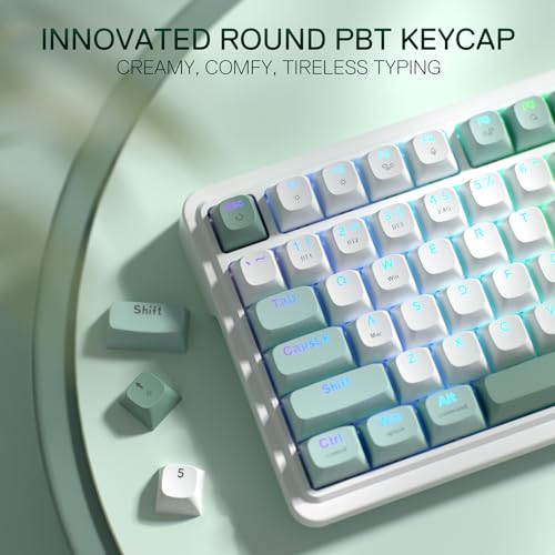 Redragon K719 Wireless Gasket Gaming Keyboard w/Hype Screen & Knob, 95 Keys Mechanical Keyboard, Easy-Control 1.14’’ TFT Info Display, 5-Layer Noise Dampening, Custom Linear Switch, Jade Cloud Color - color: Jade Cloud