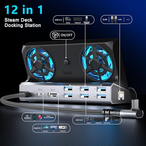 YCE 12-in-1 for ROG Ally X/Ally/Steam Deck Dock/Legion Go, RGB Cooling Fan | 4K@60Hz, Gigabit Ethernet, 100W PD, 3x USB 3.0 – for Steam Deck OLED, Switch 2, Go S, MSI Claw - color: 12-in-1 Dual Cooling Fan