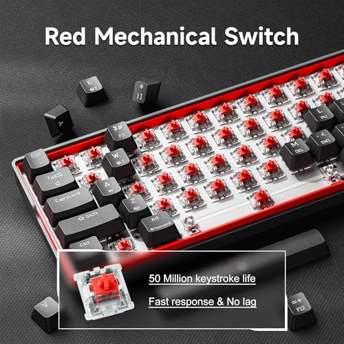 KEMOVE K61SE Gaming Mechanical Keyboard, 60 Percent Wired RGB Backlit N-Key Rollover Compact Mini 61 Keys Keyboard for PC Laptop, Red Switch - color: Black-RGB, size: Red Switch