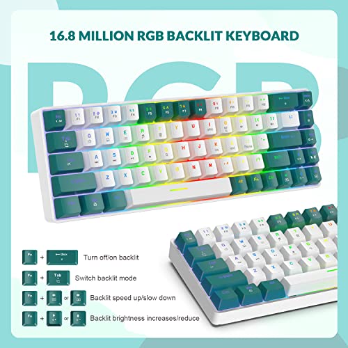 ZIYOU LANG T8PR0 Wired 65% Mechanical Gaming Keyboard and Mouse Combo-Green | RGB Backlit,Anti-ghosting,TKL,Mini 68 Key,Coiled C to A Cable,Tactile Blue Switch,Ultralight Mice for PS4 Xbox PC Mac Gamer - color: Green White, size: 65% Keyboard + Mouse