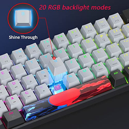 Protable 60% Percent Gaming Keyboard Mechanical, Mini Compact RGB Backlit 68 Keys Wired Office Keyboard with Red Switch for Mac/Win (Dolch/red Switch 68) - color: Dolch/red Switch 68