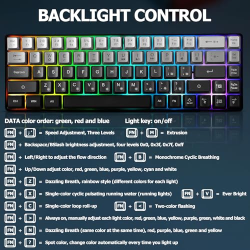 Guiheng Wired 60% Gaming Keyboard and Mouse Combo, Ultra-Compact 61 Keys RGB Backlit Mini Keyboard, Lightweight 3200 DPI Optical, Wired Gaming Set for Windows,PC, MAC PS5 Xbox Gamer(Gradient Grey) - color: Gradient Grey combo