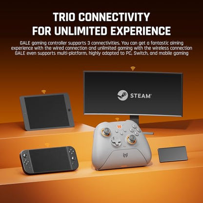 PC Controllers, BIGBIG WON Gale Hall Wireless Controllers, Motion Control, Hall Joysticks&Triggers, 3 Pairs of Thumbsticks, PC App Game Controllers for Switch/Switch2/iOS/Android Wireless Gaming Controller - color: 3.Gale Hall-Grey