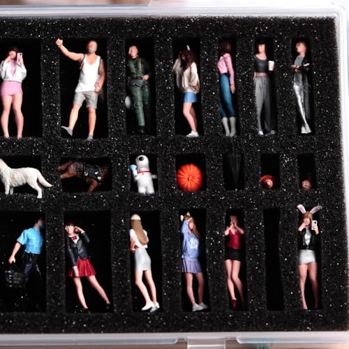 Fremego Miniature Figure Storage Case,Transparent Figurine Storage Box Display Case Plastic Carrying Case for 1/64 1/87 Scale Figurines with Foam Insert (1)