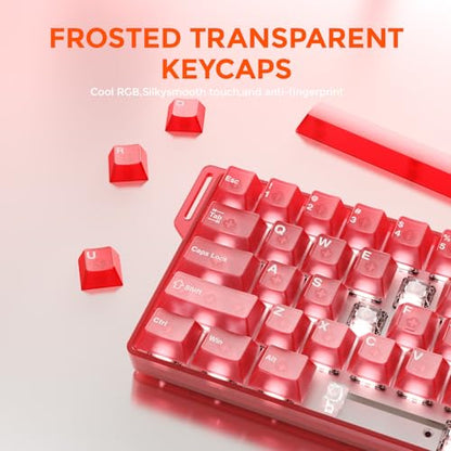 DAREU COOL60 60% Hall Effect Gaming Keyboard with Magnetic Switch, SOCD, 0.01mm Actuation Adjustable Rapid Trigger,8000 Hz Polling, Frosted Transparent Keycaps, Hot-swap, RGB Backlit - color: Red