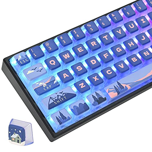 Polar Region ASA Custom keycaps ，118 Keys Double-Shot Key Cap Set for Cherry/Gateron MX switches 60 Percent / 64/61 Gaming Mechanical Keyboard(Polar Region Blue) - color: Polar region Blue