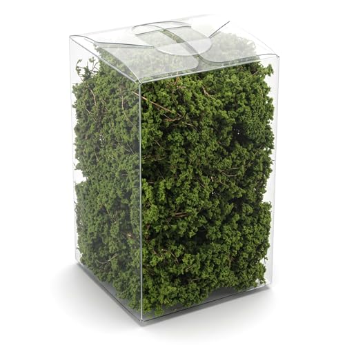 Miniature Shrubs Bushes Model, Green Plant Tufted Model for Train Landscape, Railroad Scenery, War Gaming Terrain Sand and Dioramas