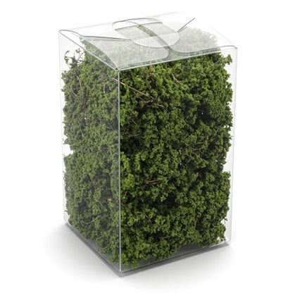 Miniature Shrubs Bushes Model, Green Plant Tufted Model for Train Landscape, Railroad Scenery, War Gaming Terrain Sand and Dioramas