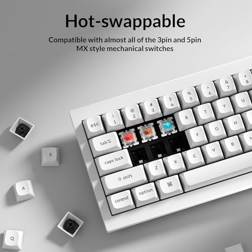 Keychron Q4 Wired Custom Mechanical Keyboard, QMK/VIA Programmable Macro, Full Aluminum, Hot-Swappable Gateron G Pro Brown Switch, 60% Layout Double Gasket Compatible with Mac and Windows - White - color: White (Gateron G Pro Brown Switch)