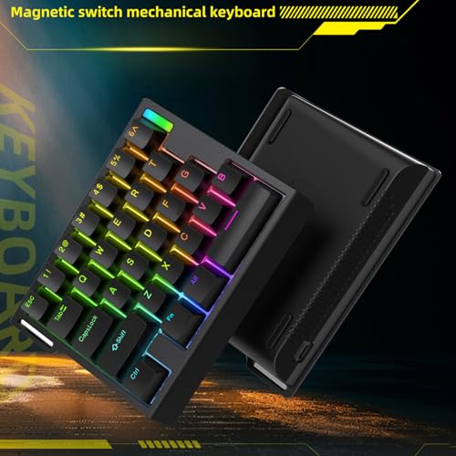 HE30 Rapid Trigger Gaming Keyboard,One-Handed Magnetic Switch Hall Effect RGB HotSwap Custom Mechanical Keyboard Adjustable Actuation,8kHz Hyper Polling Rate Mini Macro Gasket Keypad (Black)