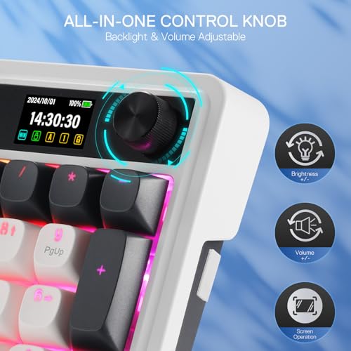 Redragon K719 Wireless Gasket Gaming Keyboard w/Hype Screen & Knob, 95 Keys Mechanical Keyboard, Easy-Control 1.14’’ TFT Info Display, 5-Layer Noise Dampener, Round PBT Keycaps, Mint Mambo Switch - color: Glacier Azure