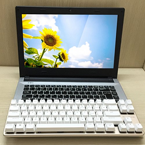 Qisan Happy Deals 10% Discount Off Mechanical Keyboard Gaming Keyboard Blue Switch 68-Keys Mini Design (60%) Gaming Wired Keyboard White Silver Magicforce - color: Blue Switch White Silver Color