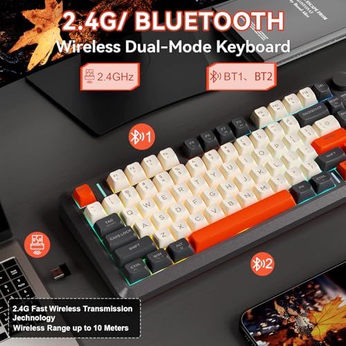 ZIYOU LANG M75 Wireless Gaming Keyboard, RGB Backlit Rechargeable 2000mAh Battery, Small Membrane But Mechanical Feel Keyboard with Smart Display & Knob, PBT Gradient keycaps for PC, MAC - Shimmer - color: Shimmer