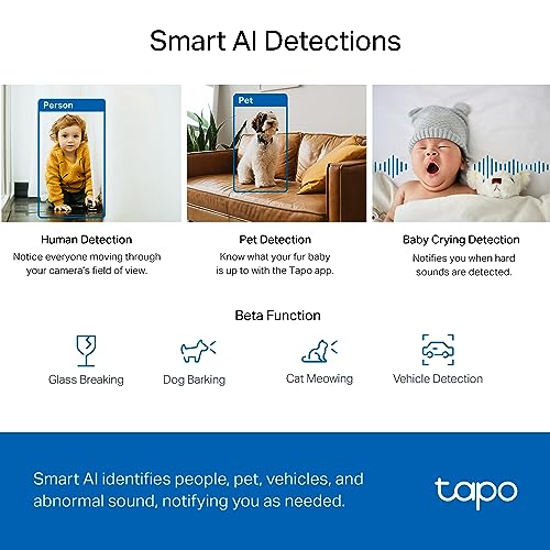 TP-Link Tapo 2K QHD Pan/Tilt Security Camera for Pet Camera, Baby Monitor, Motion Detection, Motion Tracking, 2-Way Audio, Night Vision, Cloud &SD Card Storage, Works w/Alexa & Google Home(Tapo C220) - style: 2K QHD