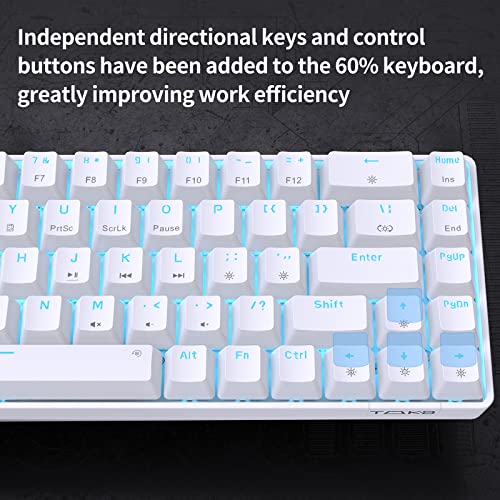 DIERYA T68SE 60% Gaming Mechanical Keyboard,Ultra Compact Mini 68 Key with Blue Switches Wired Keyboard,Anti-Ghosting Keys, for Windows Laptops and PC Gamers,White - color: White/Blue Switch, size: Wired