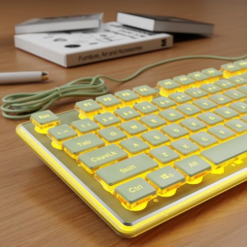 SEUNKWANG EWEADN GX710S Backlit Computer Keyboards, Wired USB Keyboard with Warm Backlit, Metal Panel, Plug and Play, Pudding Keycaps Full Size Quiet Computer Keyboard for Win/PC/Laptop-Green - color: Green