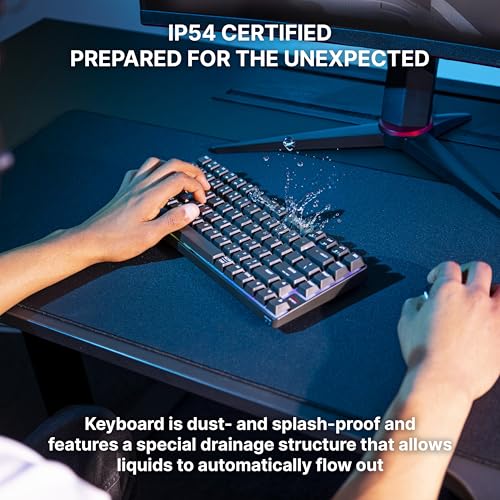 K33 Compact Wireless, 75% Mem-chanical Gaming Keyboard, Multi Device, Bluetooth, 2.4 GHz & Wired Mode, RGB-Lighting, IP54 Dust & Splash-Resistant (Black) - color: Black