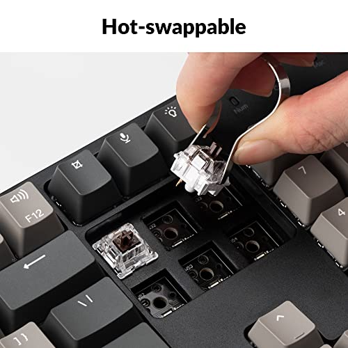 Keychron C2 Pro Wired Custom Mechanical Keyboard Full Size Layout QMK/VIA Programmable Macro RGB Backlit with Hot-Swappable Keychron K Pro Brown Switch OEM Profile PBT Keycaps for Mac Windows Linux - style: Hot-swap Keychron K Pro Brown Switch