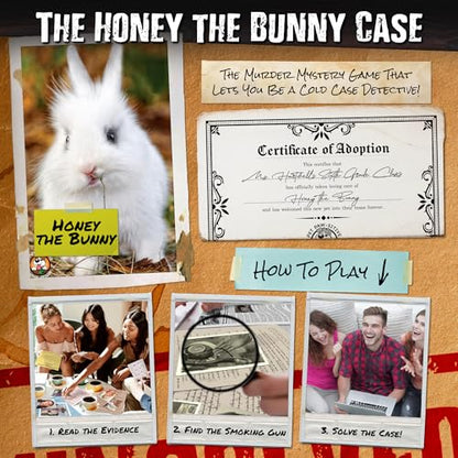 Unsolved Case Files | Honey The Bunny - A Family-Friendly Mystery Case to Solve