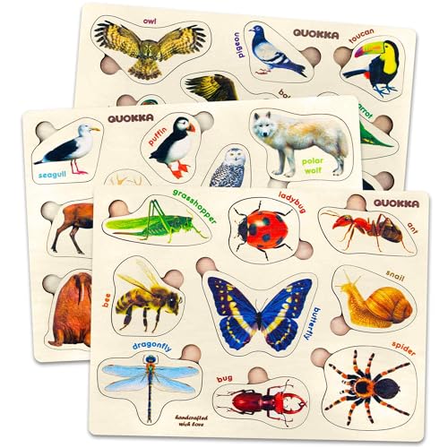 Wooden Puzzles for Toddlers 1-3 - 3 Montessori Kids Puzzles Ages 2-4 | Realistic Wood Puzzle for Toddlers 3-5 Boy and Girl - Learning Insects, Arctic Animals and Birds for Children - color: Realistic Insects, Arctic Animals, Birds