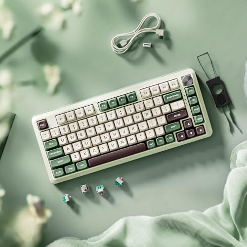 Redragon K681 Pro Wireless Mechanical Keyboard, Gasket Mounted RGB Gaming Keyboard with Volume Knob, MDA-Profile, Pre-Lubed Linear Switches, 81 Keys 75％ Tri-Mode Hot Swappable for PC/Xbox/PS (Matcha) - color: Matcha Green, size: Custom Linear Switches