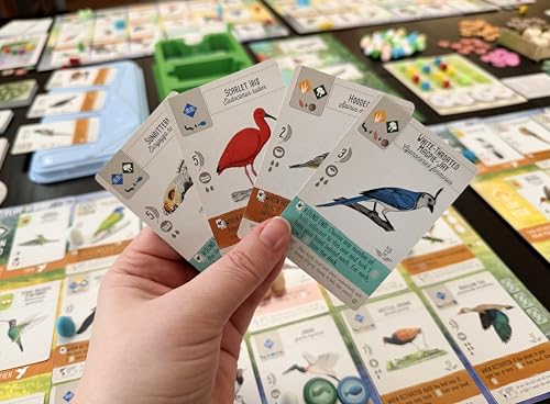Stonemaier Games: Wingspan Americas Expansion by Elizabeth Hargrave | Add to Wingspan | Includes Small Hummingbird Cards with New Mechanism, 111 Unique New Colorful Birds, & More | 1-5 Players, 90 Min