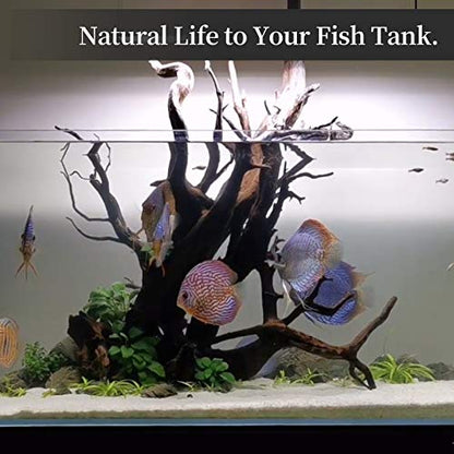 majoywoo Natural Large Driftwood for Aquarium Decor Reptile Decor, Fewer Branches 12.5-18" 2Pcs - size: Mopani Driftwood 12.5 to 18 Inch (Pack of 2)